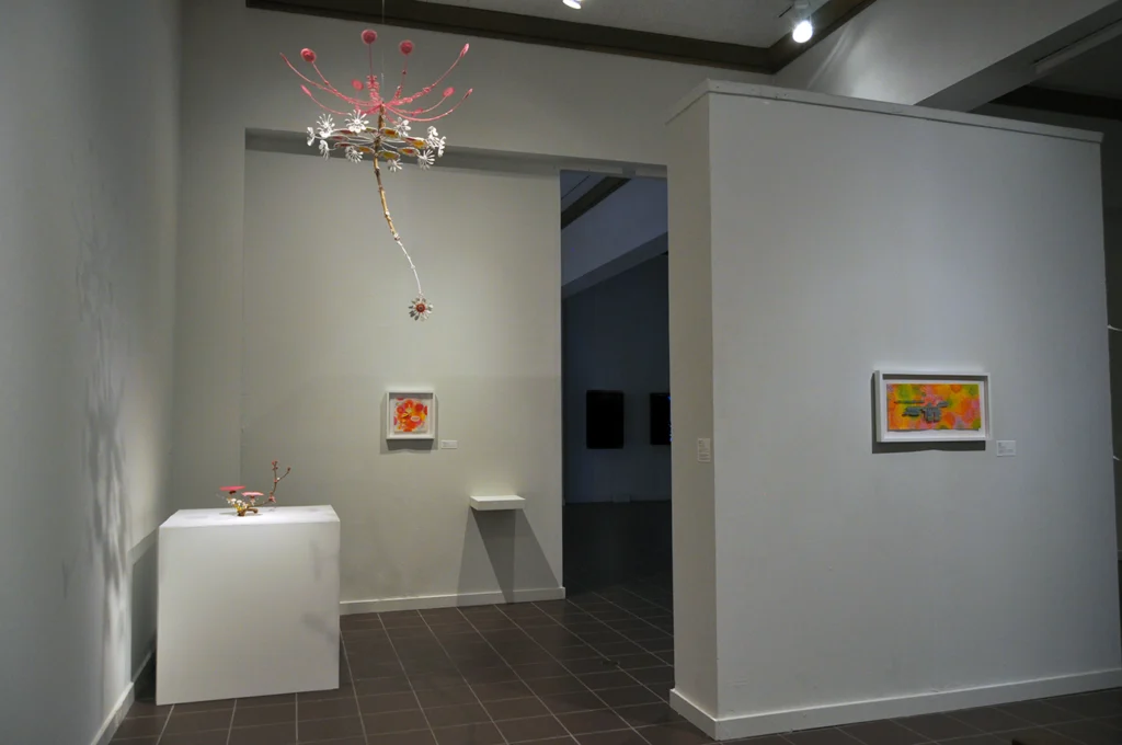 Installation image